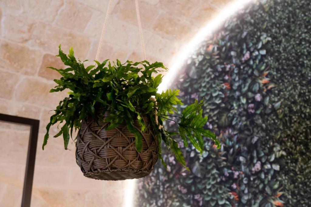 Leaves' Suite مونوبولي المظهر الخارجي الصورة